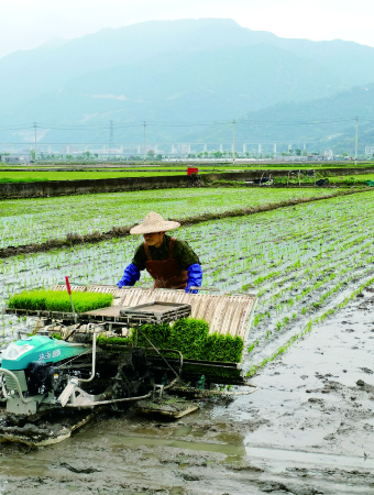 28圈(中国)官方网站